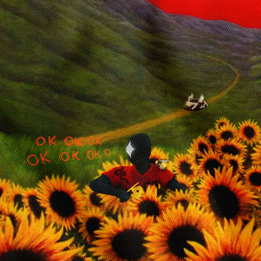 The Flower Boy Flag 🌻